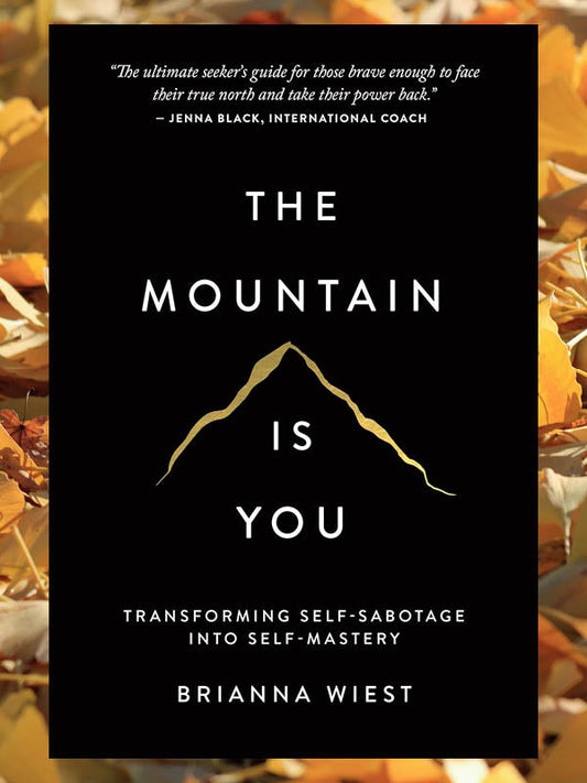 The Mountain Is You: Transforming Self-Sabotage Into Self-Mastery