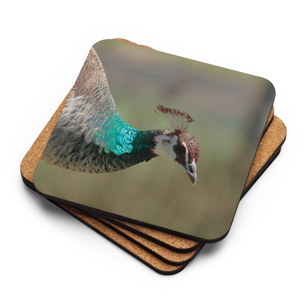 Cork-back coaster