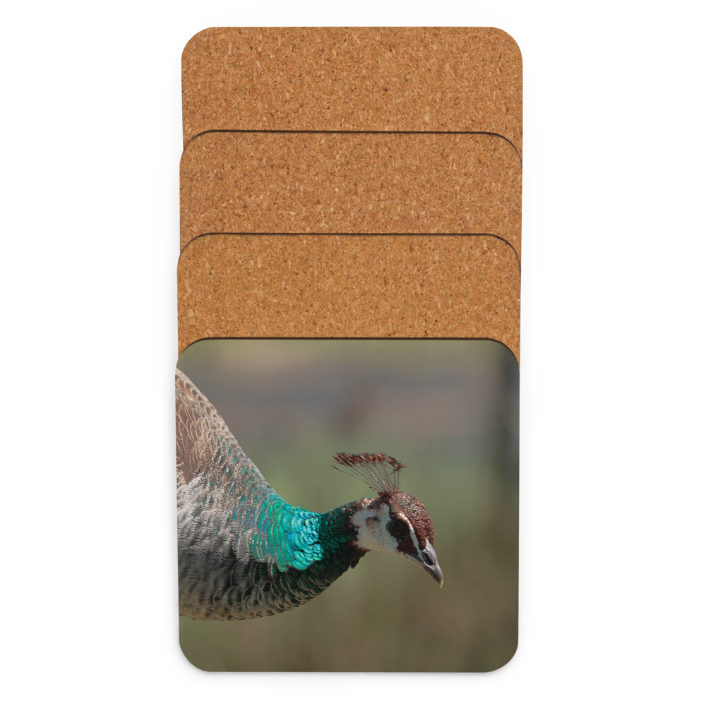 Cork-back coaster