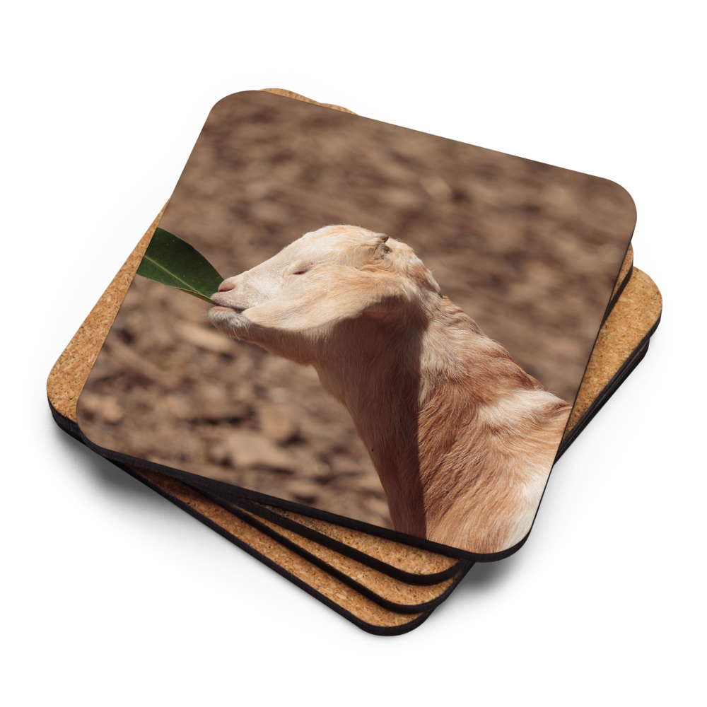Cork-back coaster