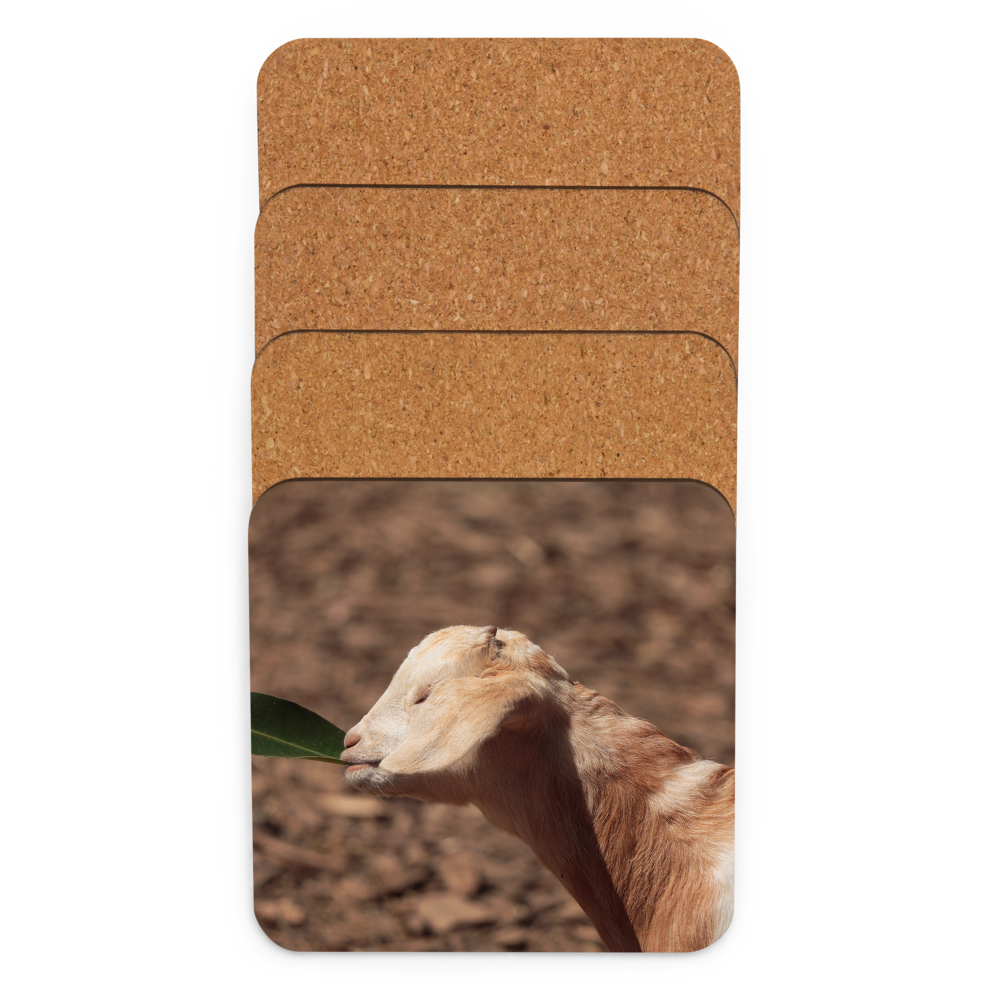Cork-back coaster