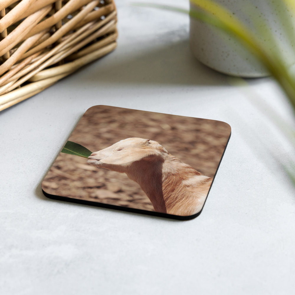 Cork-back coaster