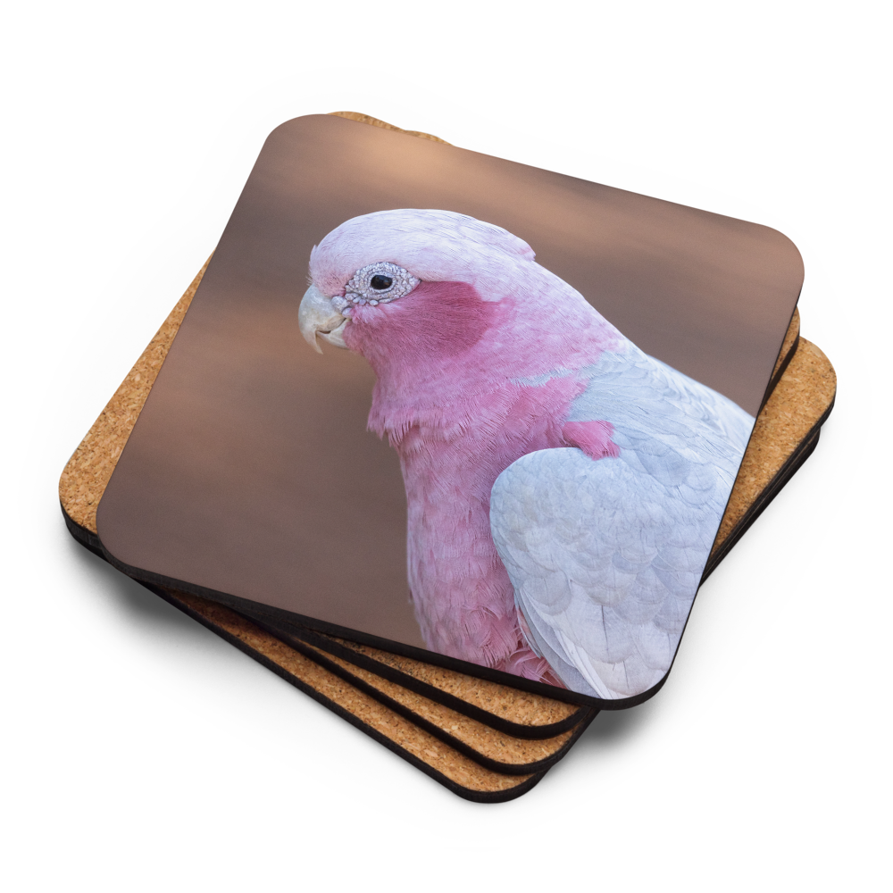 Cork-back coaster