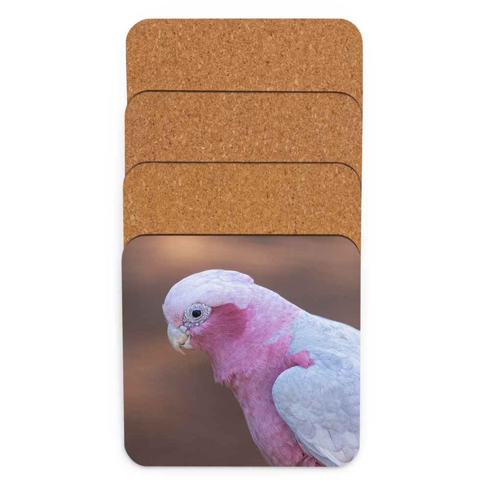 Cork-back coaster