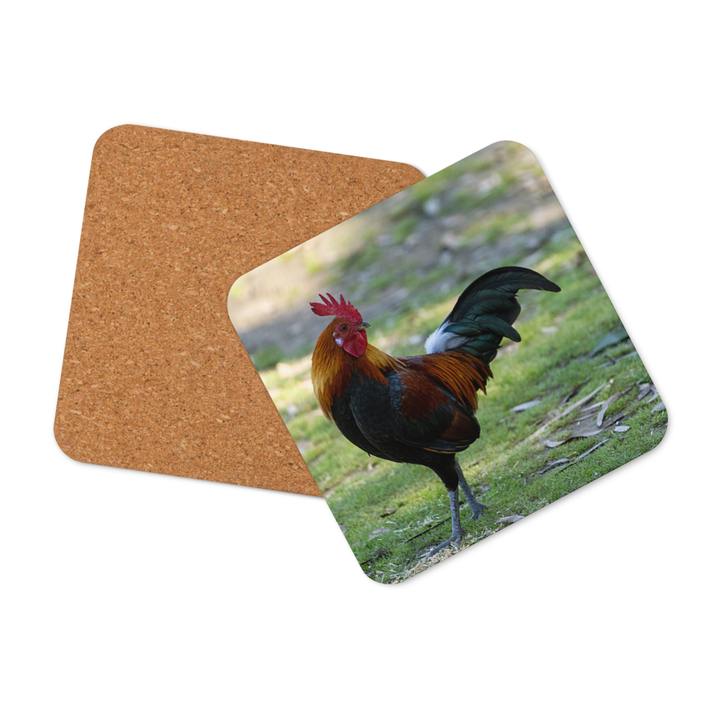 Cork-back coaster