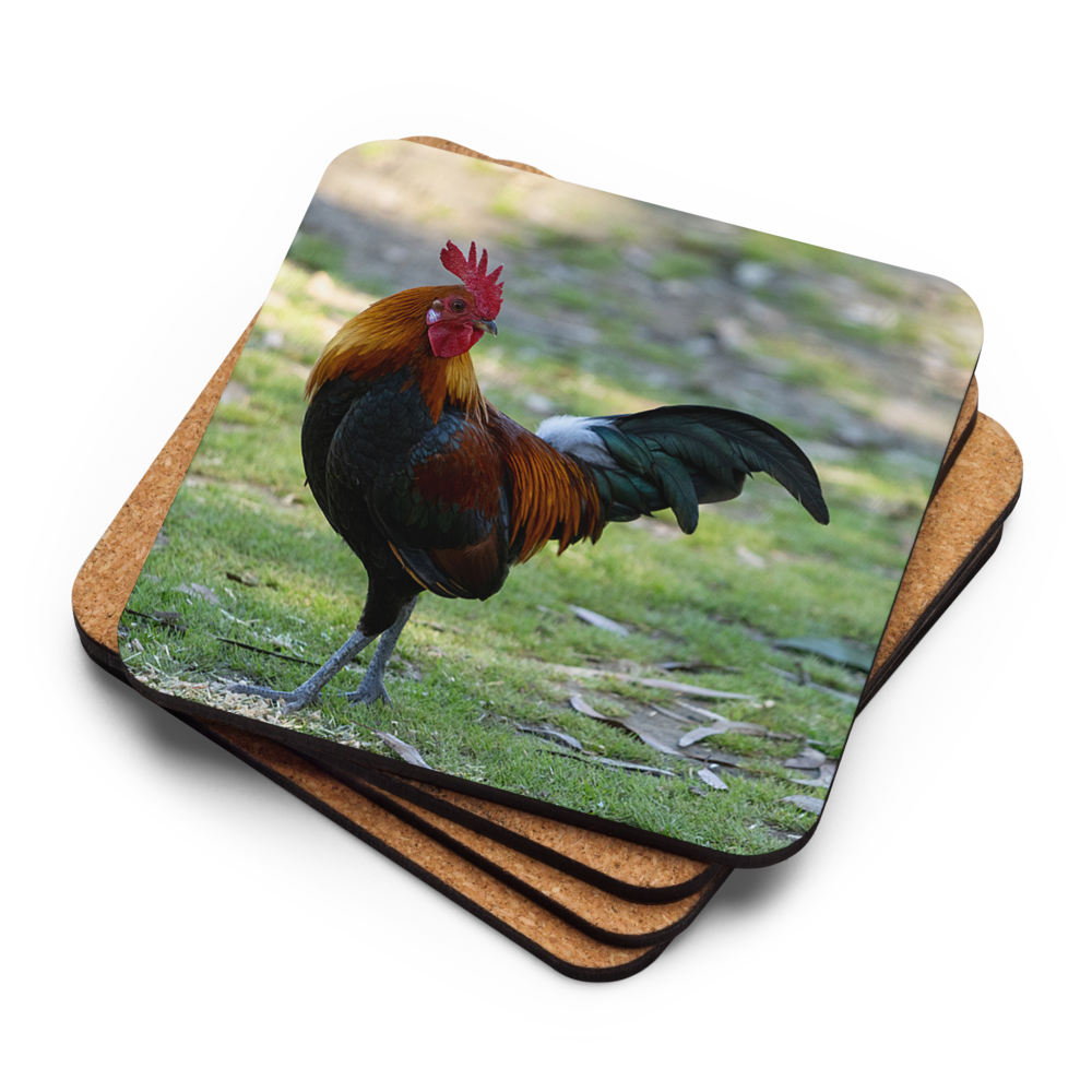 Cork-back coaster