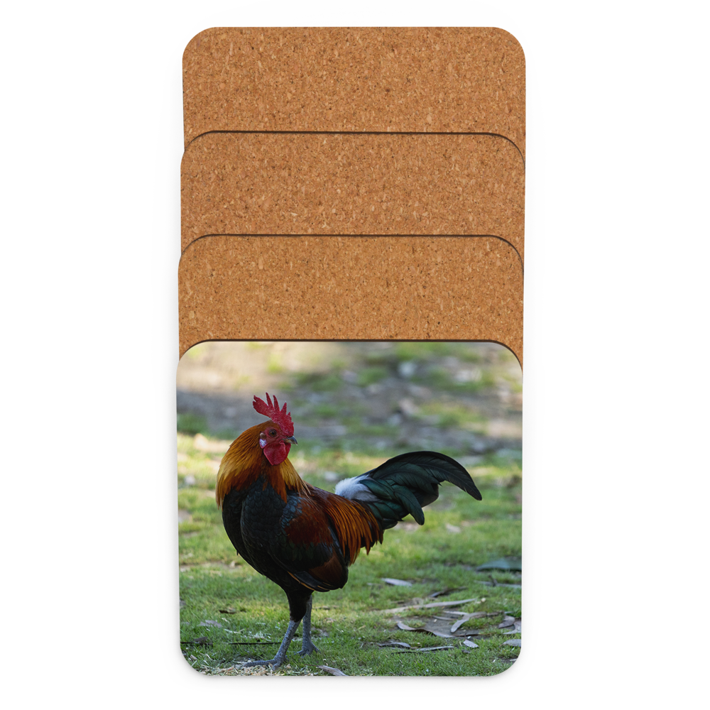 Cork-back coaster