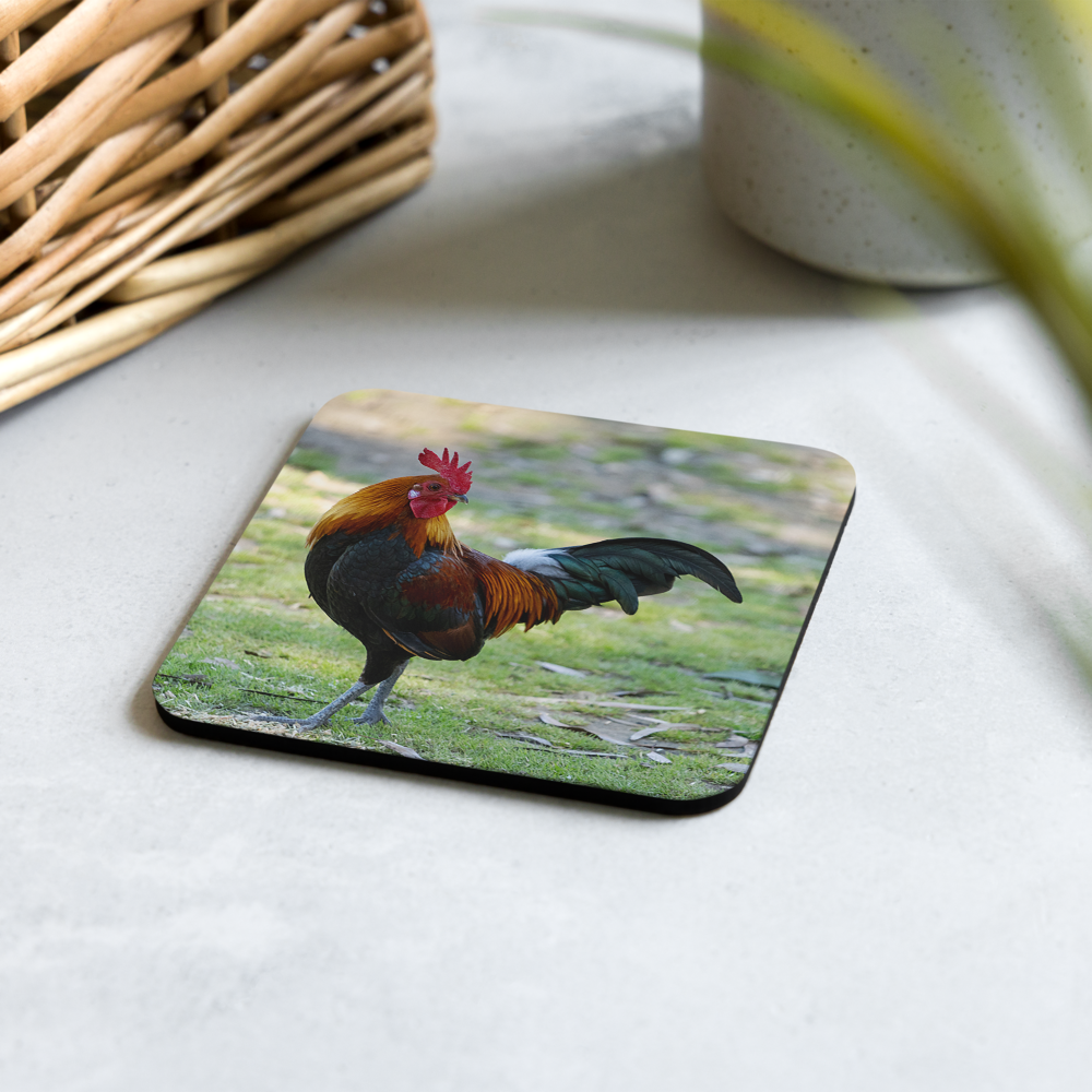 Cork-back coaster