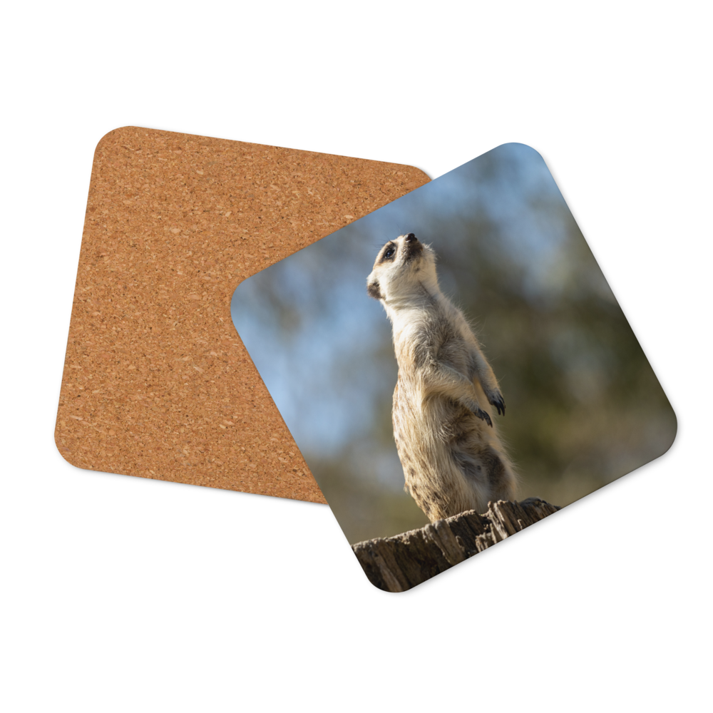 Cork-back coaster