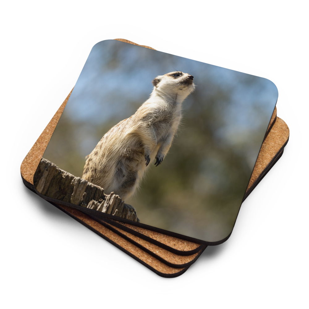 Cork-back coaster