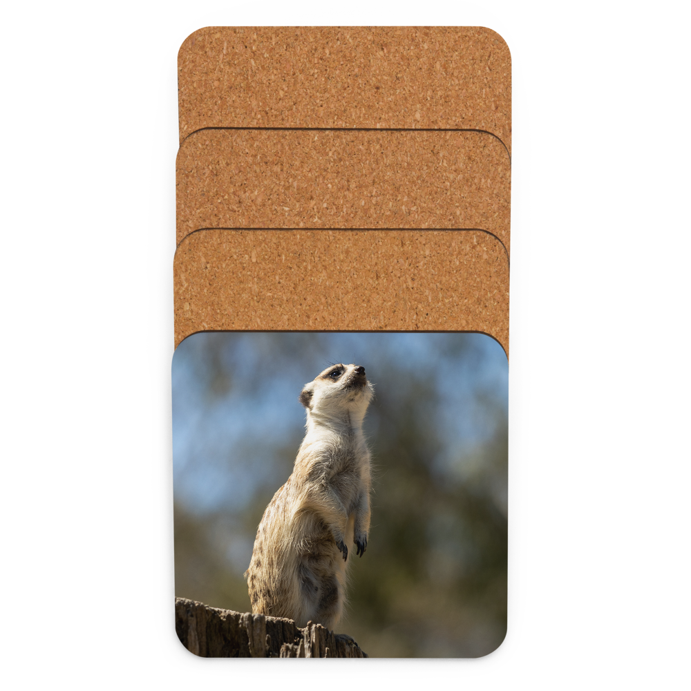 Cork-back coaster