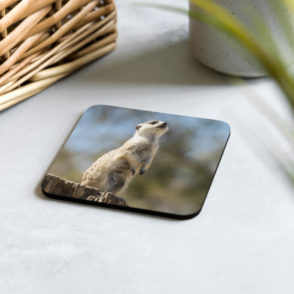 Cork-back coaster