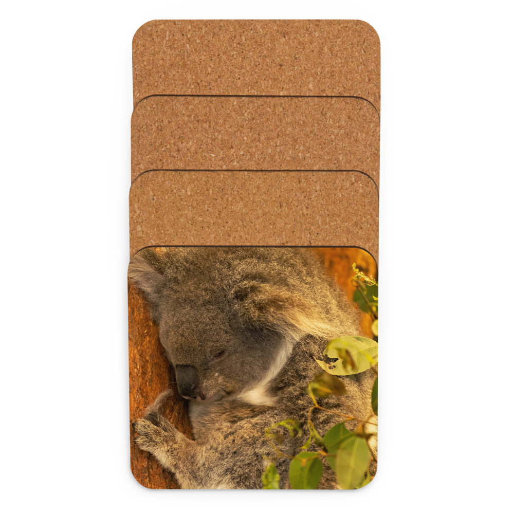 Cork-back coaster