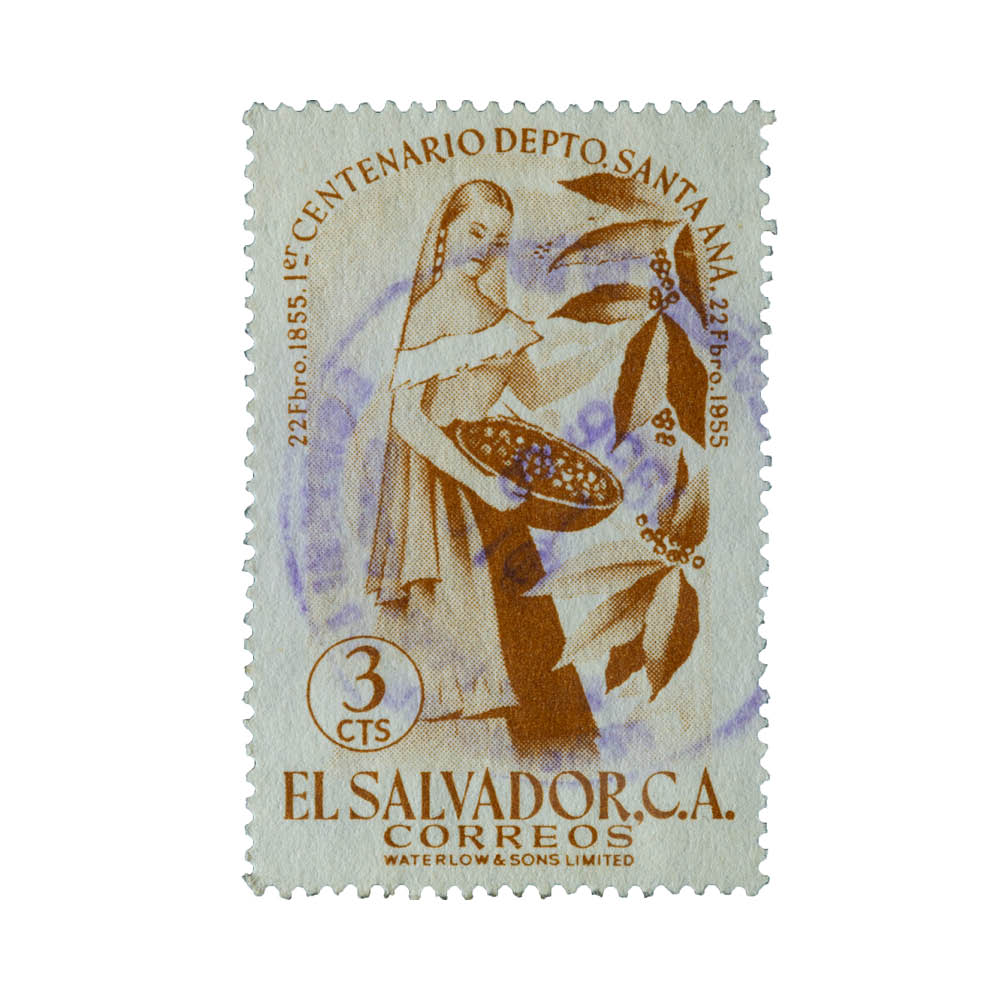 The Coffee Picker