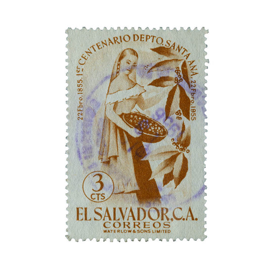 The Coffee Picker