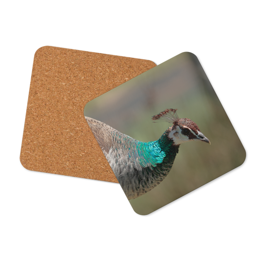Cork-back coaster