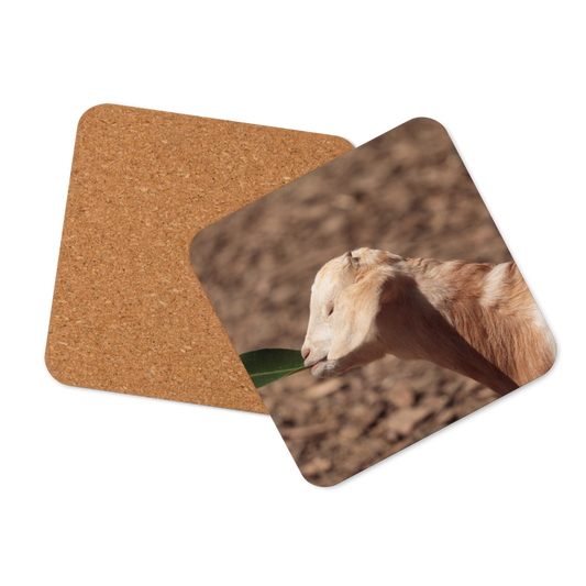Cork-back coaster