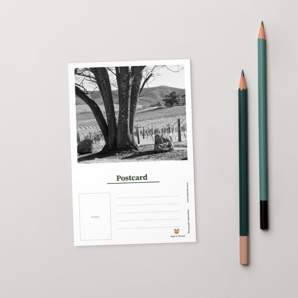 Standard Postcard (PC004)