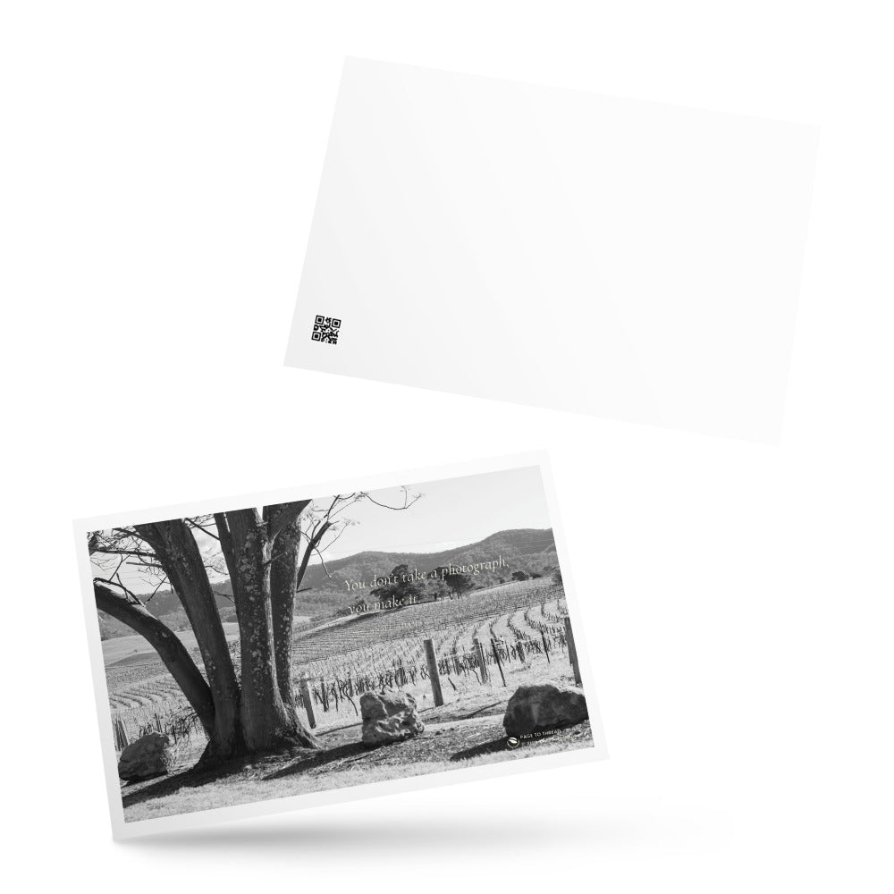 Vineyard View Under the Tree – Postcard
